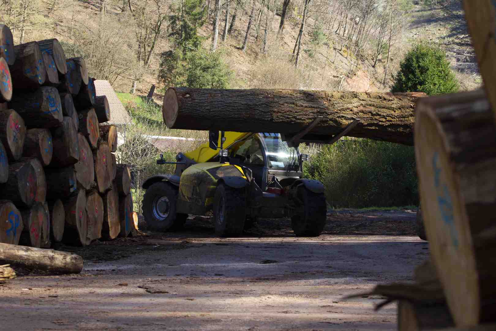 SCIERIE LEJEUNE SIERSTHAL