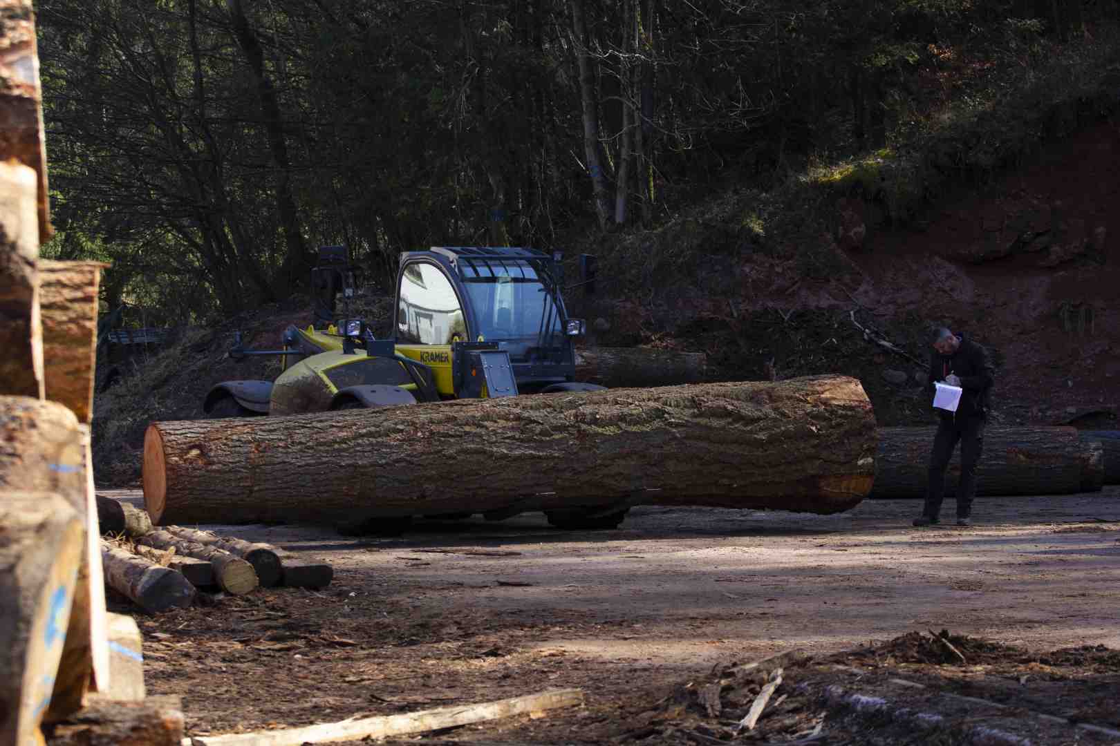 SCIERIE LEJEUNE SIERSTHAL