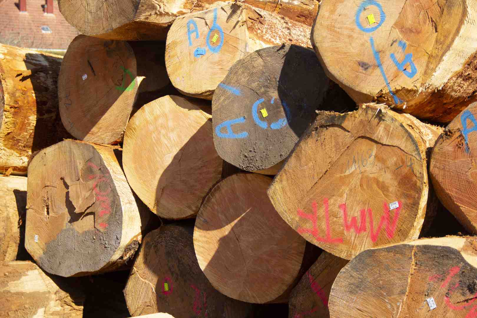 SCIERIE LEJEUNE SIERSTHAL